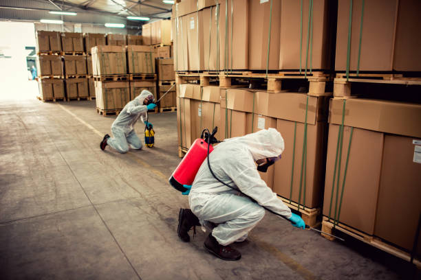 Pest Control Cost in Val Verde Park, TX