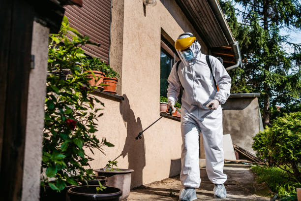 Best Pest Inspection Near Me  in Val Verde Park, TX