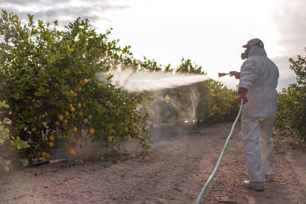  Val Verde Park, TX Pest Control Pros