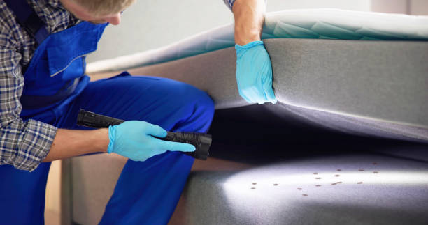 Best Best Pest Control Companies  in Val Verde Park, TX