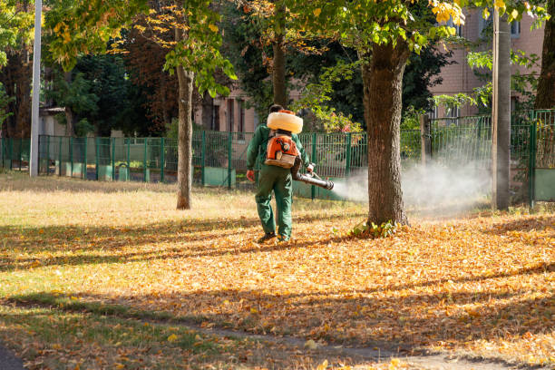 Best Exterminator Services  in Val Verde Park, TX
